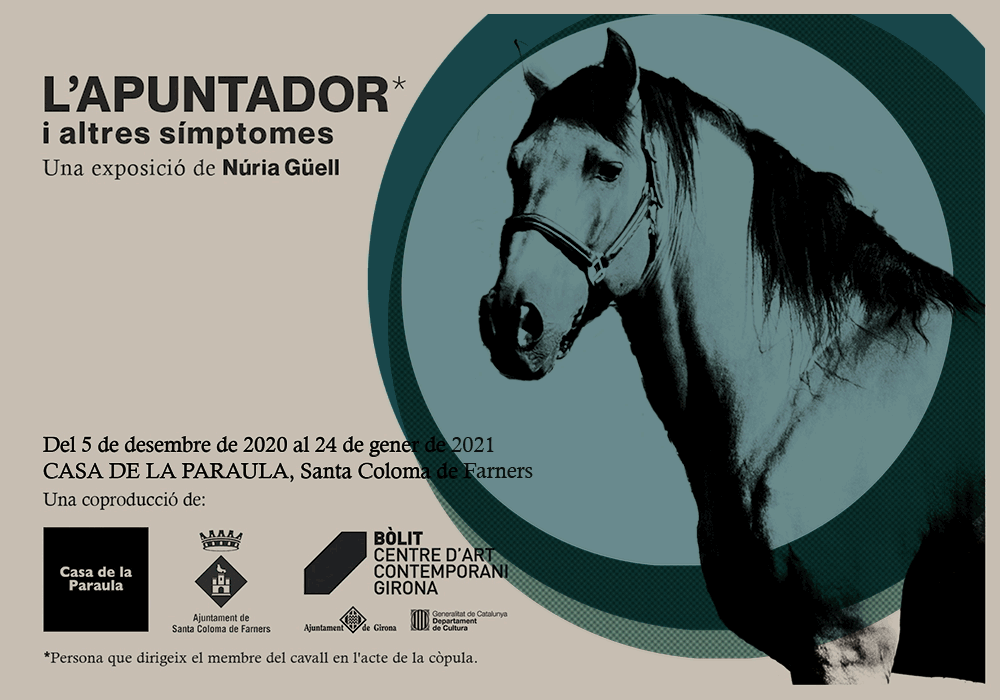 L'apuntador i altres simptomes. | © Núria Guell