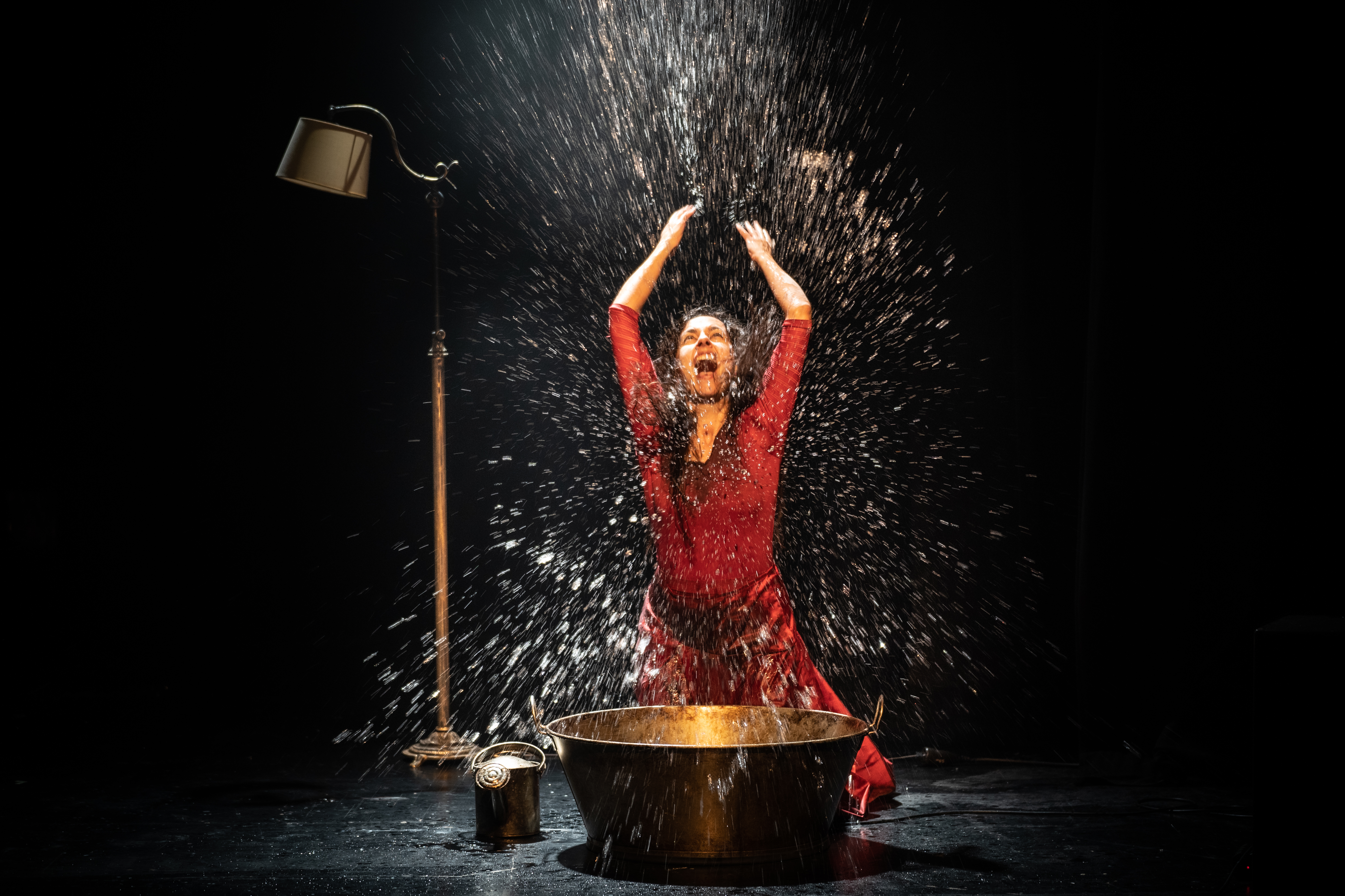 Andròmines de Samfaina de Colors | © Arian Botey