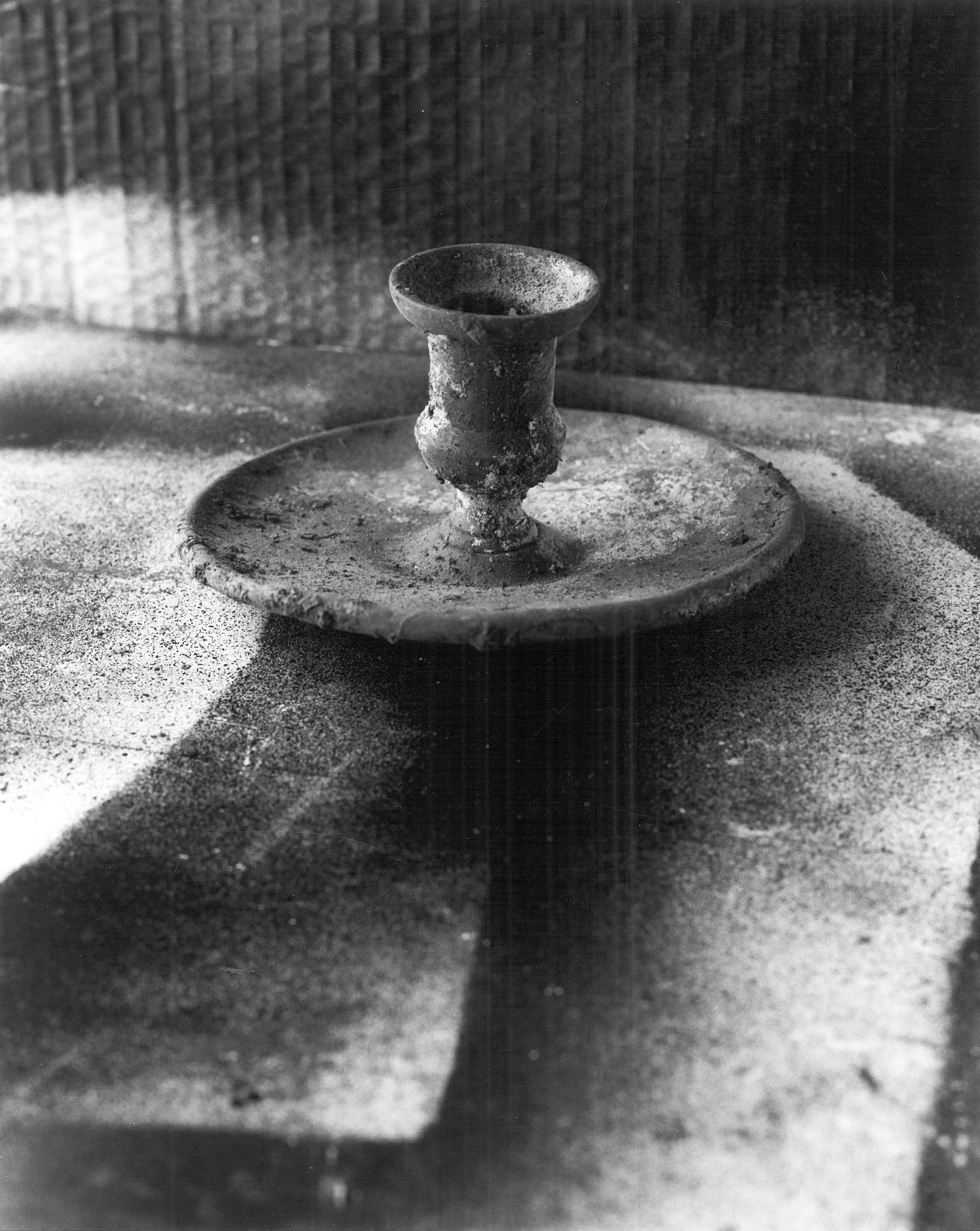 © Joan Oltra Serra