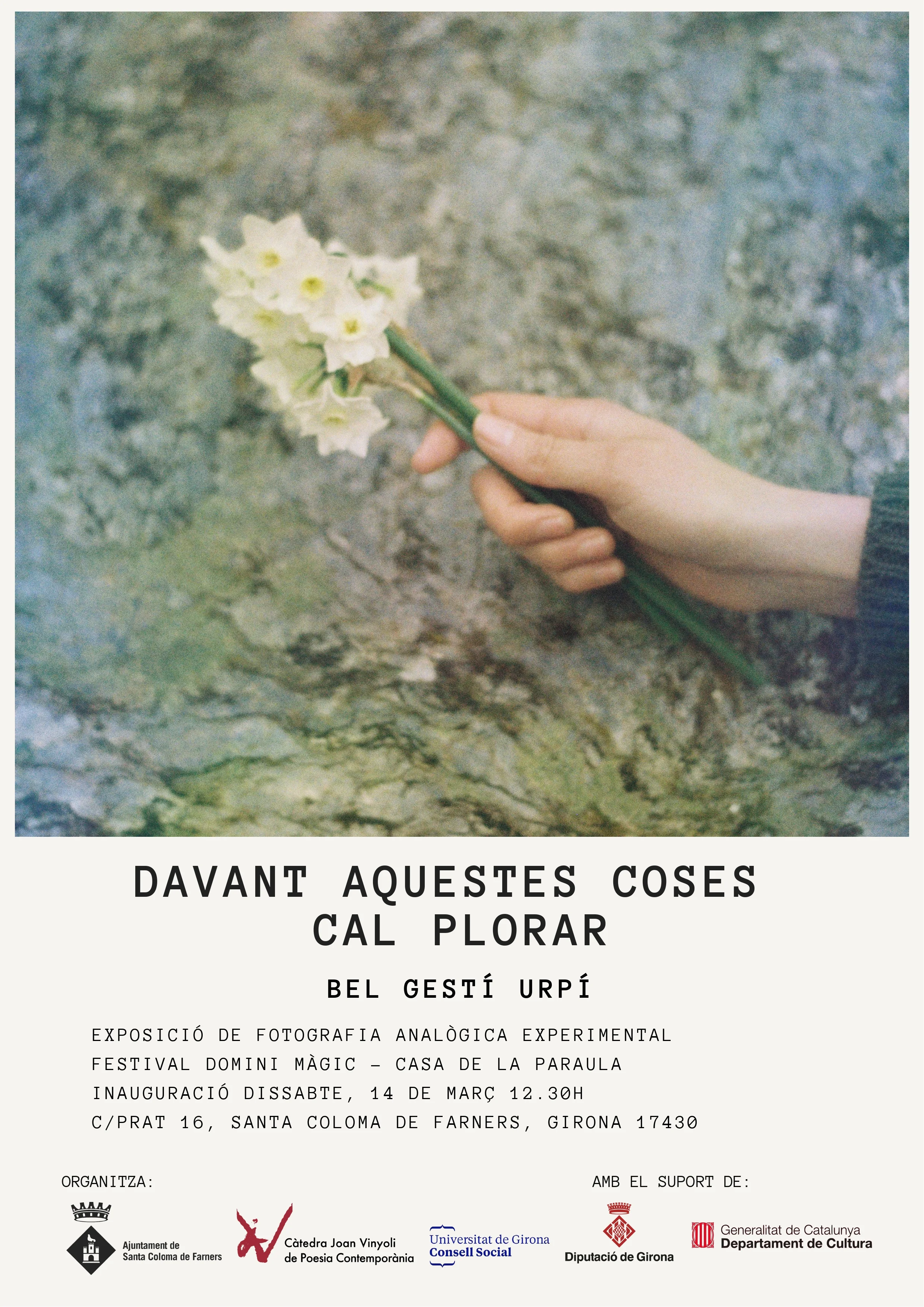 Cartell exposició | © Bel gestí