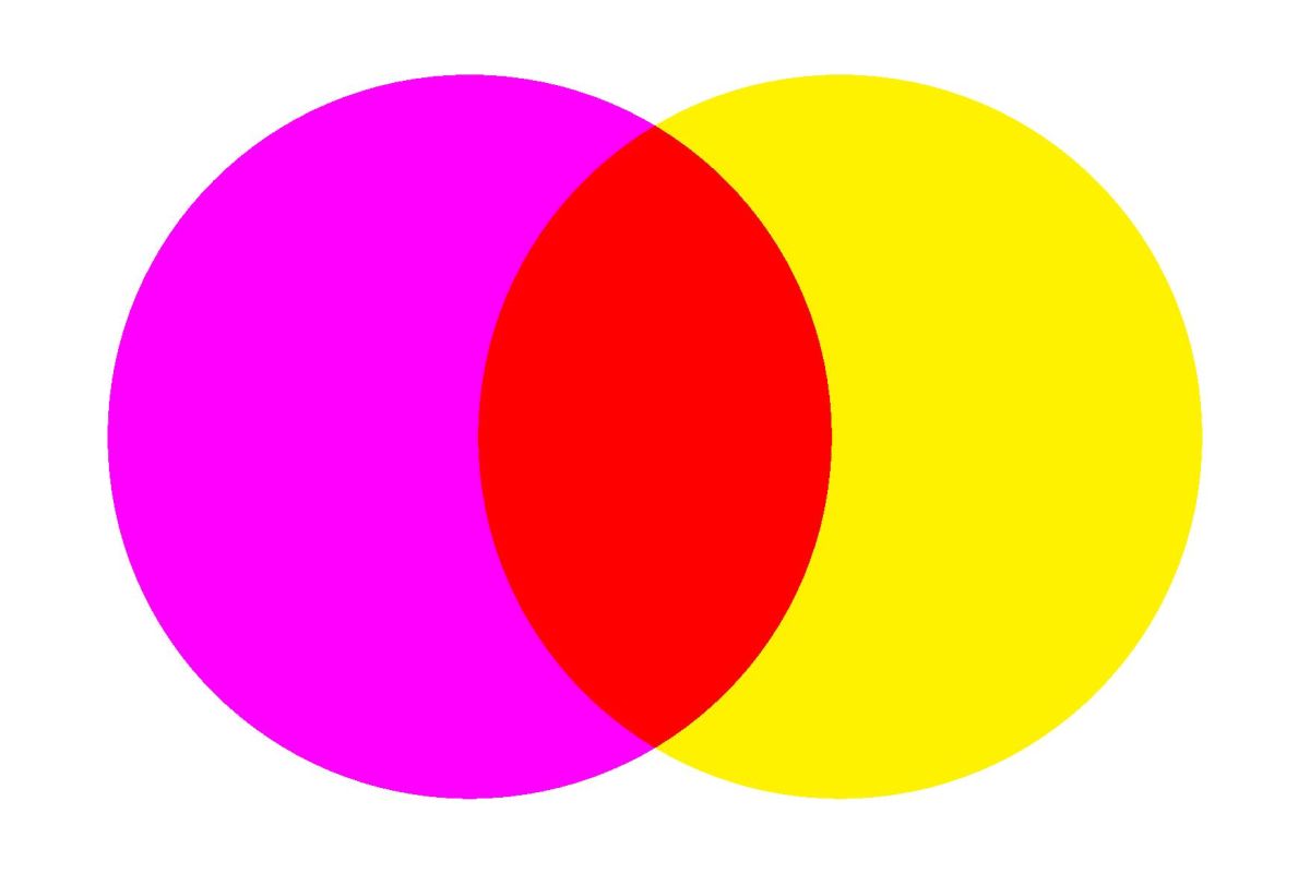 Cartell exposició  Cartell exposició