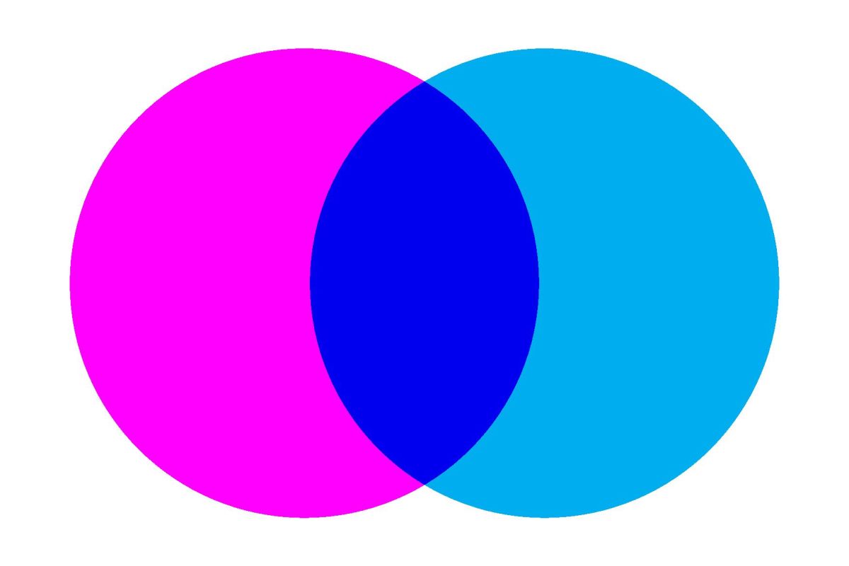 Cartell exposició  Cartell exposició