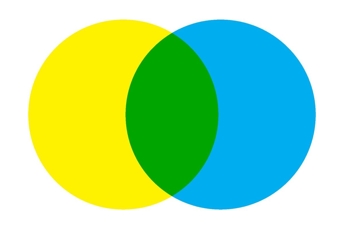 Cartell exposició  Cartell exposició