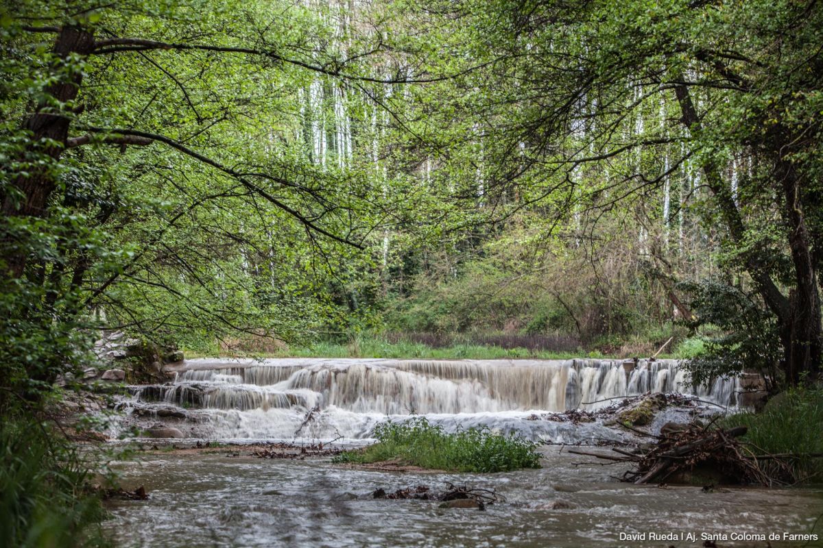 Resclosa de la riera de Sant Salvador | © David Rueda Resclosa de la riera de Sant Salvador | © David Rueda