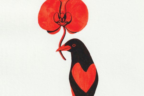 IX Festival Domini Màgic de Poesia | © Tura Sanglas Cartell del IX Festival Domini Màgic de Poesia