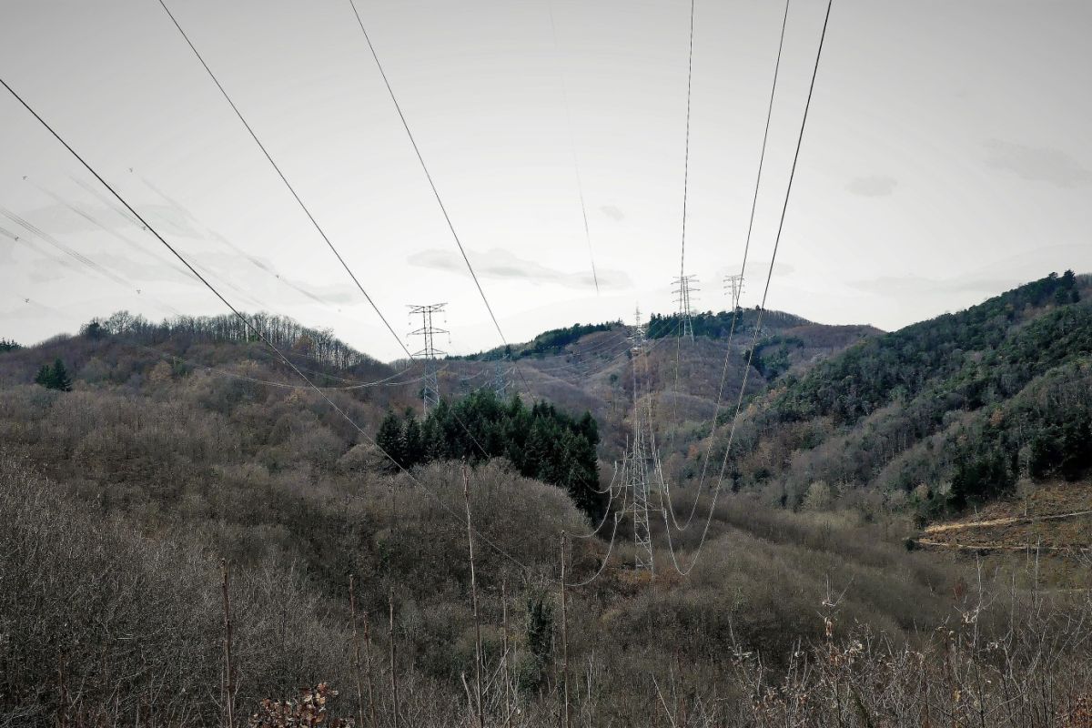 Guilleries ferides | © Jordi Coderch, 2018 Guilleries ferides | © Jordi Coderch, 2018