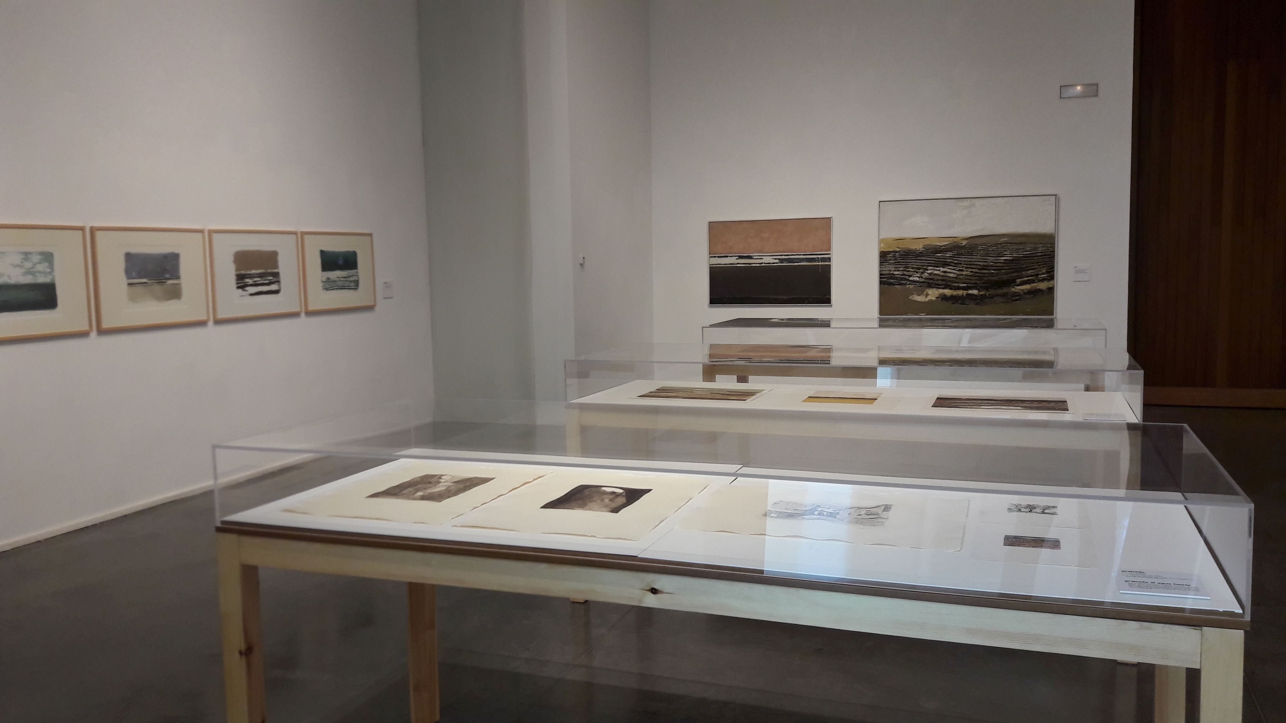 CDAN Osca | © David Ortega