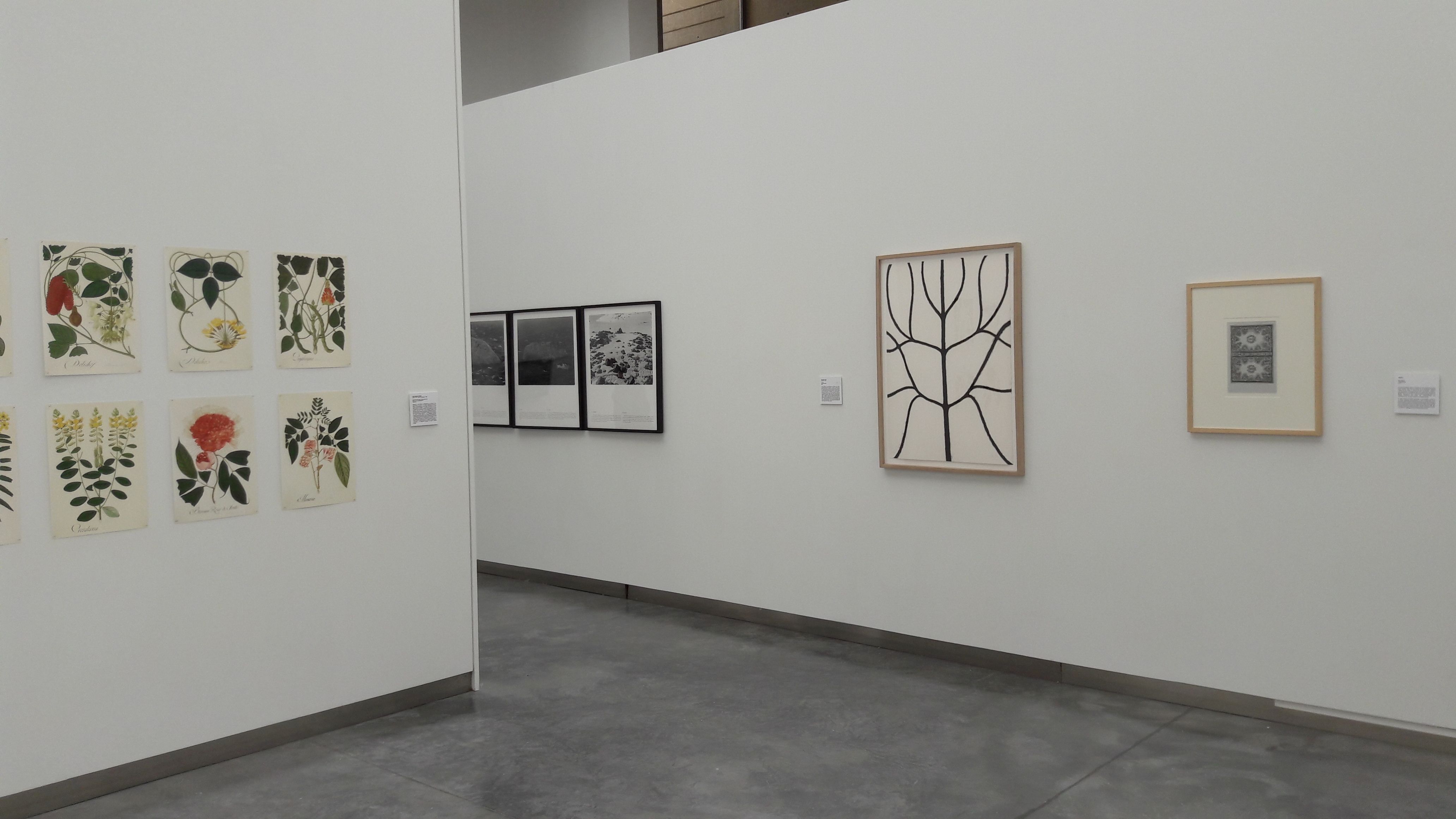 CDAN Osca | © David Ortega