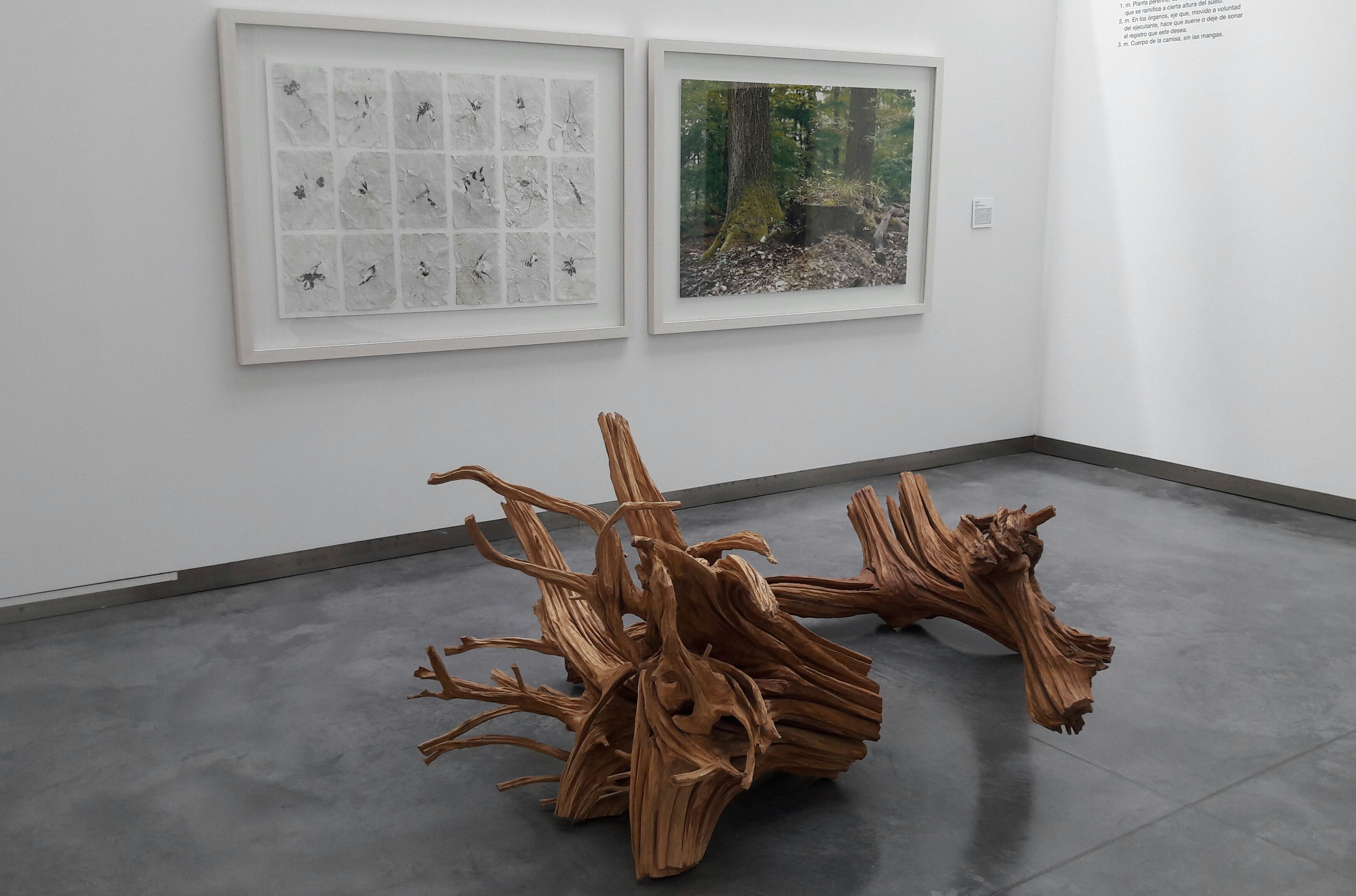 CDAN Osca | © David Ortega