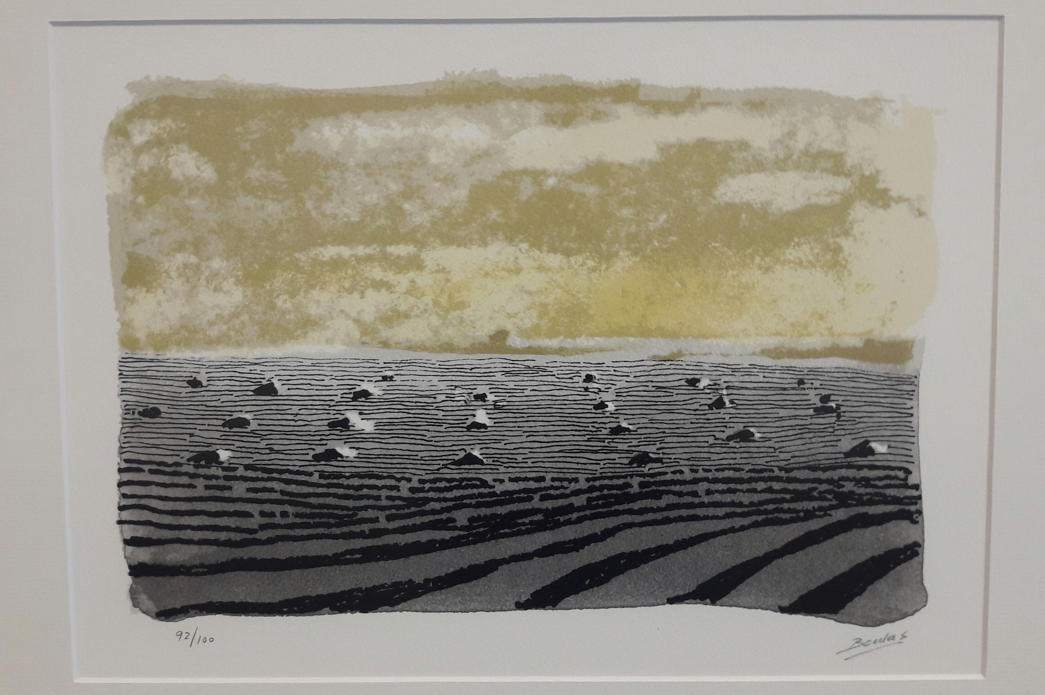 CDAN Osca | © David Ortega