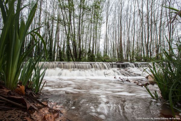 Parc Sant Salvador | © David Rueda Parc Sant Salvador | © David Rueda