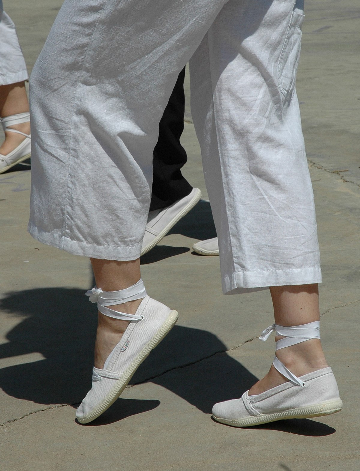 curs sardanes santa coloma de farners